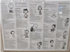 Peanuts 23
