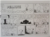 Peanuts 37