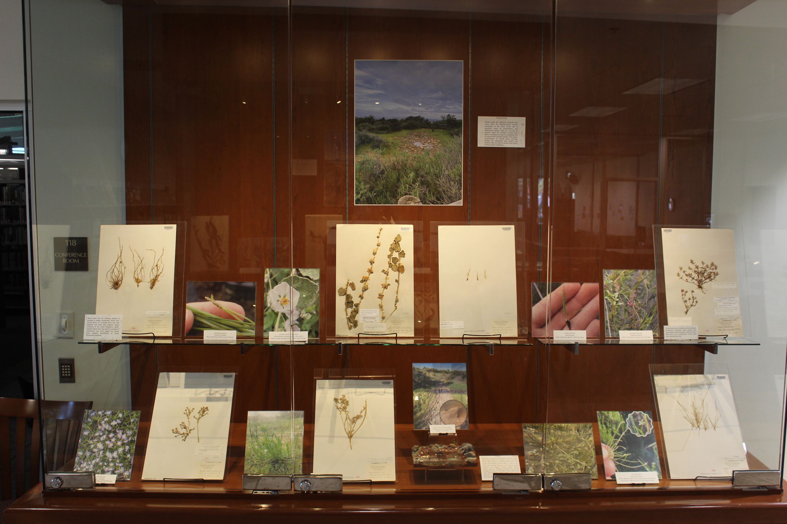 Case number two Purer Exhibit